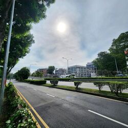 Sanctuary @ 813 (D19), Shop House #498305651